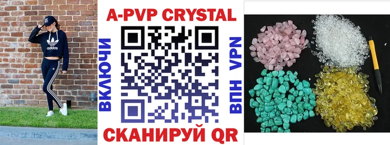 A PVP СК КРИС  Долгопрудный 
