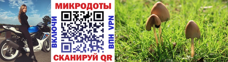hydra   Долгопрудный  Галлюциногенные грибы Psilocybine cubensis 